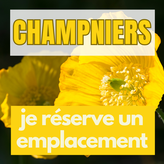 Emplacement au Salon de Champniers (6 et 7 Sept. 2025)